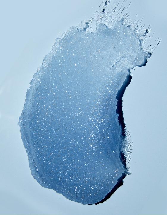 Produktbild Tree Hut Exotic Bloom