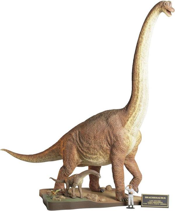 Tamiya 300060106 Brachiosaure Dinosau