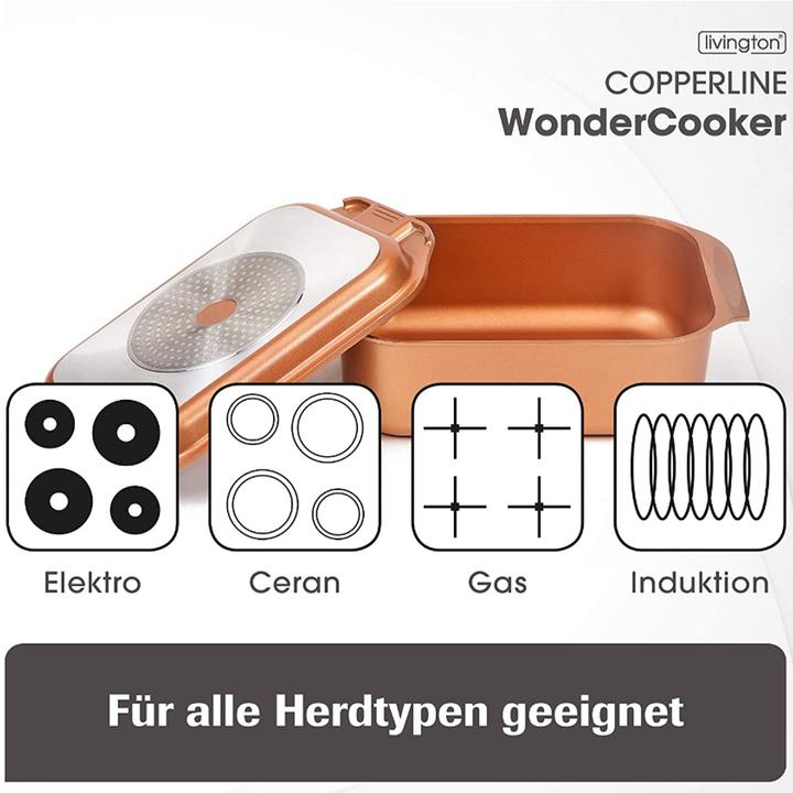 Actual product image Livington Copperline Wonder Cooker (Casserole + Stewpot, Aluminium)