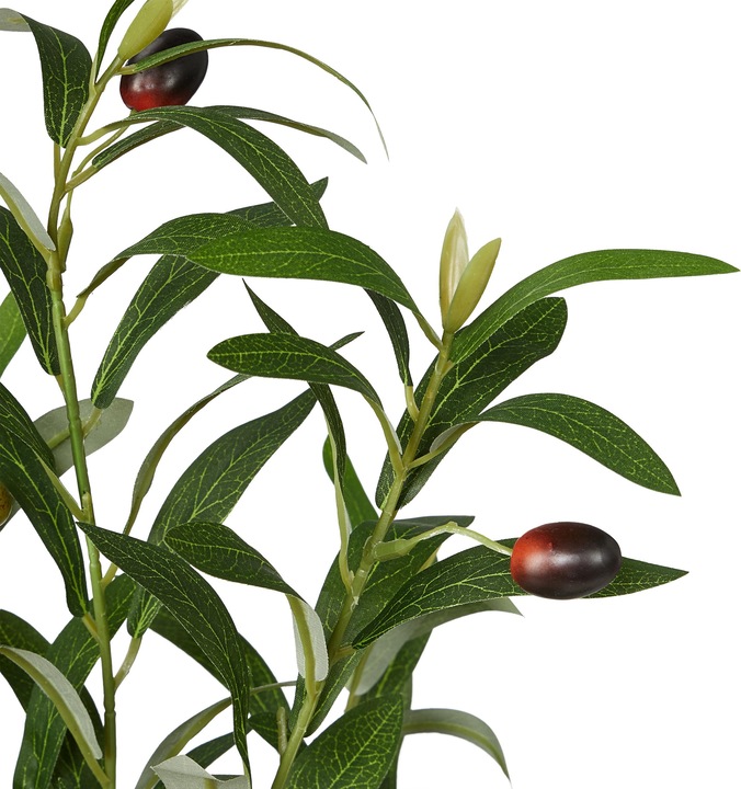 Immagine prodotto Relaxdays Albero d'ulivo (180 cm)