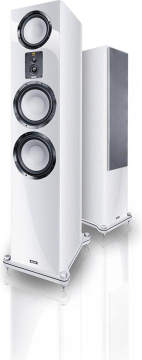 Actual product image Magnat Signature 909 (1 pcs., 500 W)