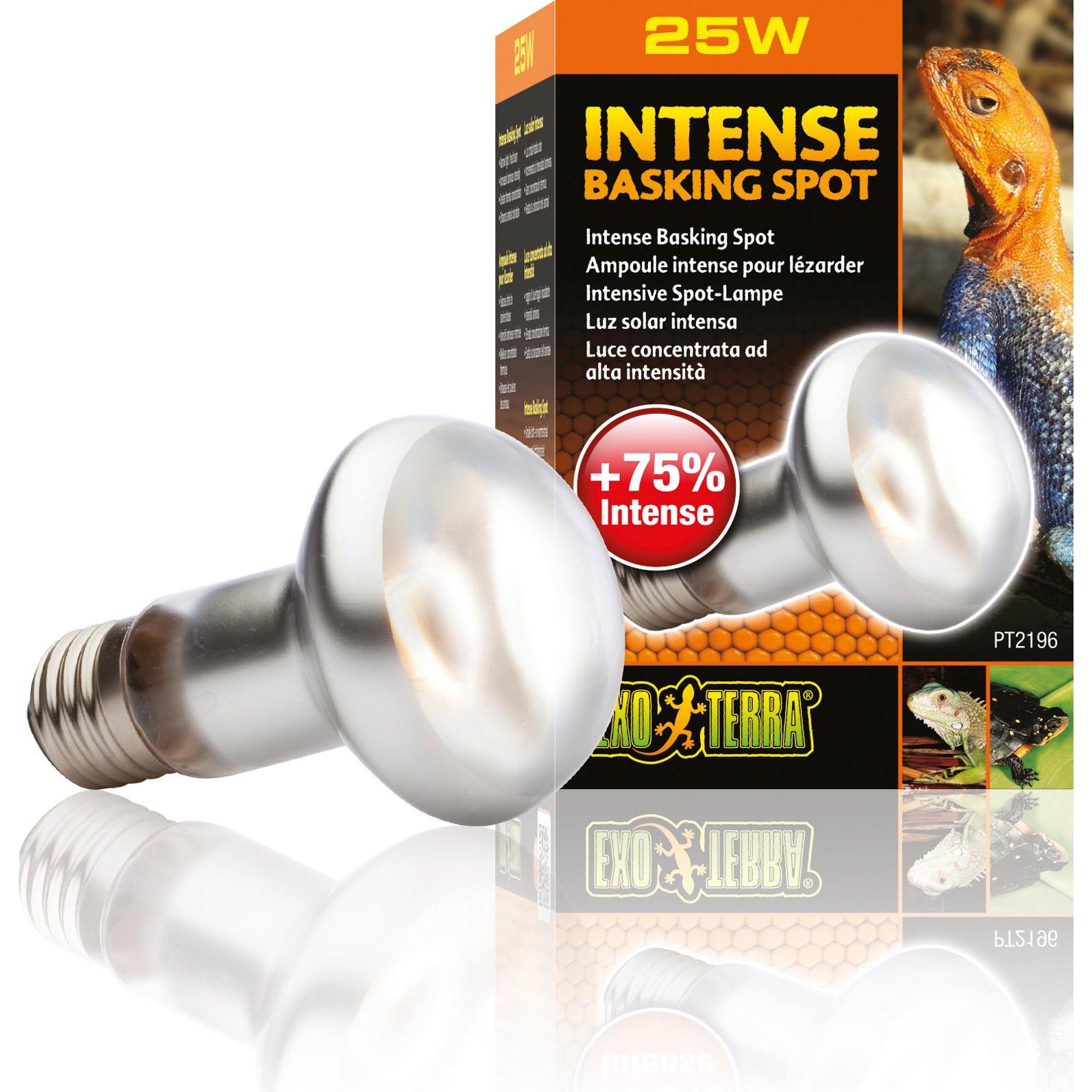 Exo Terra Lampadina Spot Intense Basking 25W (UVA), Illuminazione terrario