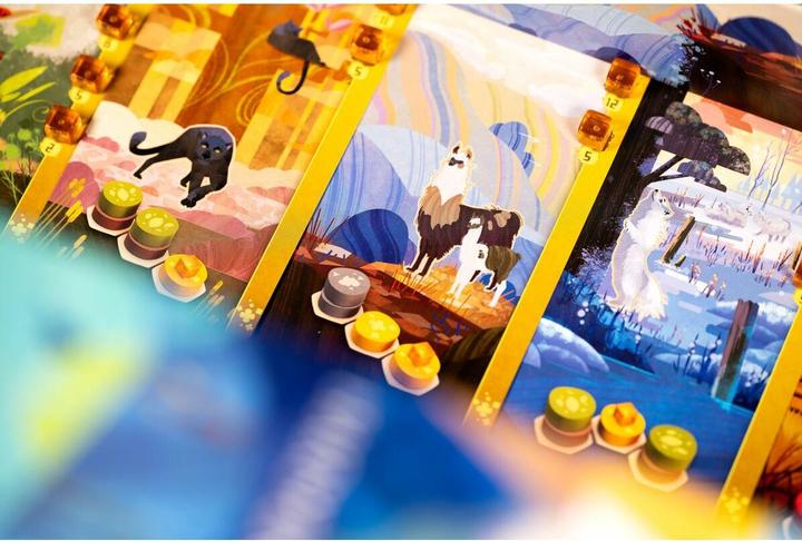 Actual product image Libellud Harmonies (French, 1 - 4 Players)