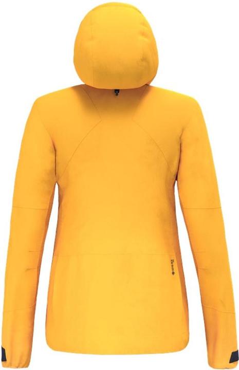 Produktbild Salewa Ortles Gtx Pro Jacket W (40, 46)