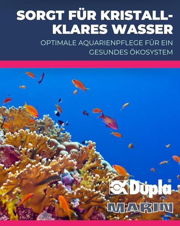 Actual product image Dupla Marin Ocean Sump OS 500 Filter System (500 l, Fresh water, Sea water)