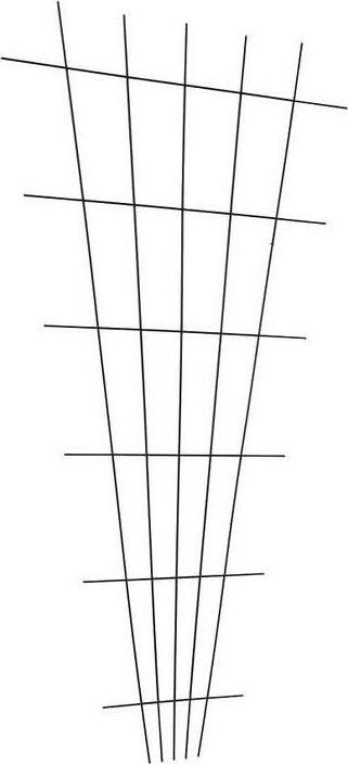 Produktbild Windhager Gitterspaliere (150 cm, 150 cm)
