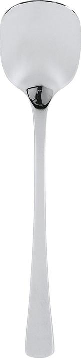 Actual product image Solex Ice cream spoon Karina 13,8cm (1 Piece, Scoops)