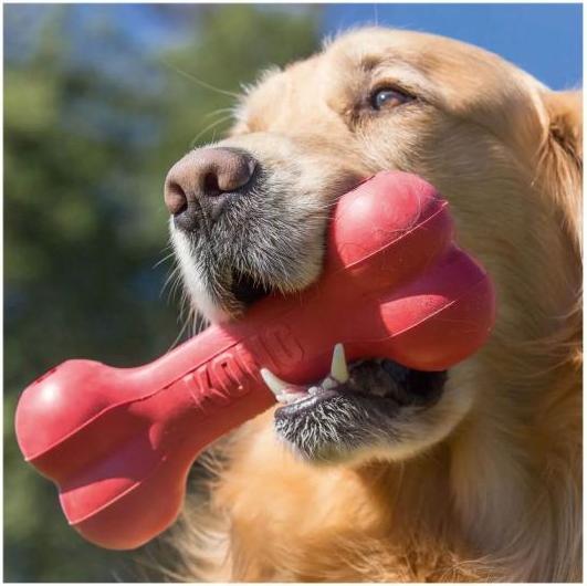 Produktbild KONG Goodie (Kauspielzeug Hund)
