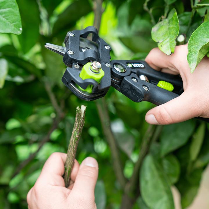 Produktbild VITO Veredelungsschere