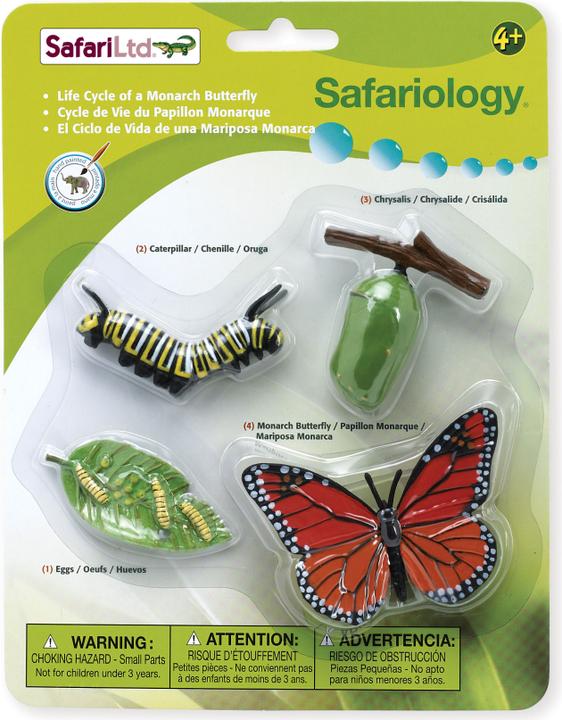 Image du produit Safari Cycle de vie du papillon monarque