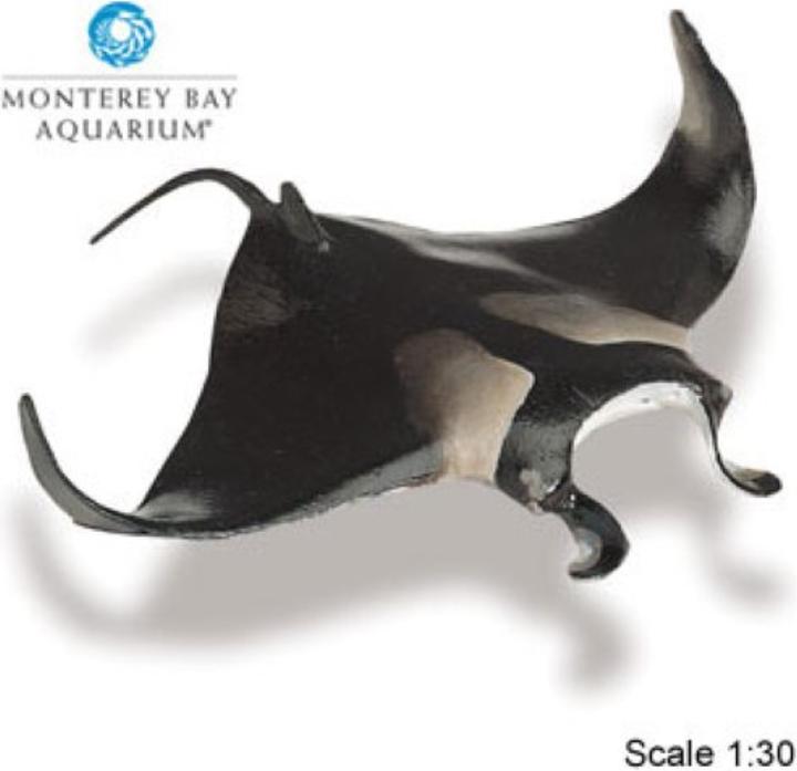 Produktbild Safari Aquarium Manta Rochen