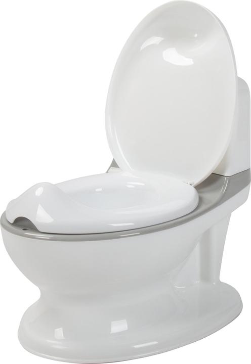 Baby Dan Children's potty with flushing sound