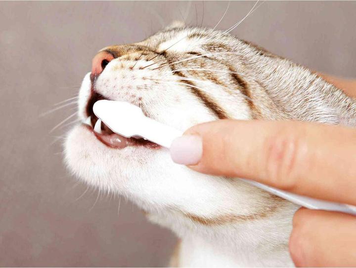 Produktbild Trixie Zahnpflege-Set (Katze)