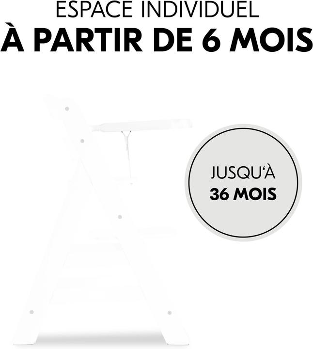 Actual product image Hauck Alpha