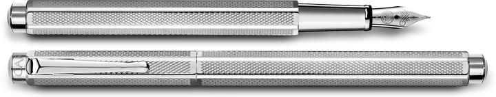 Caran d'Ache Ecridor Retro (Palladium, 1 x)