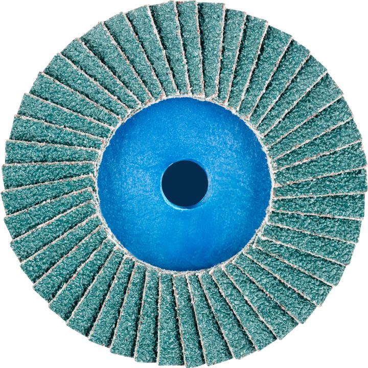 Image du produit Pferd Fächerschleifscheibe (40)