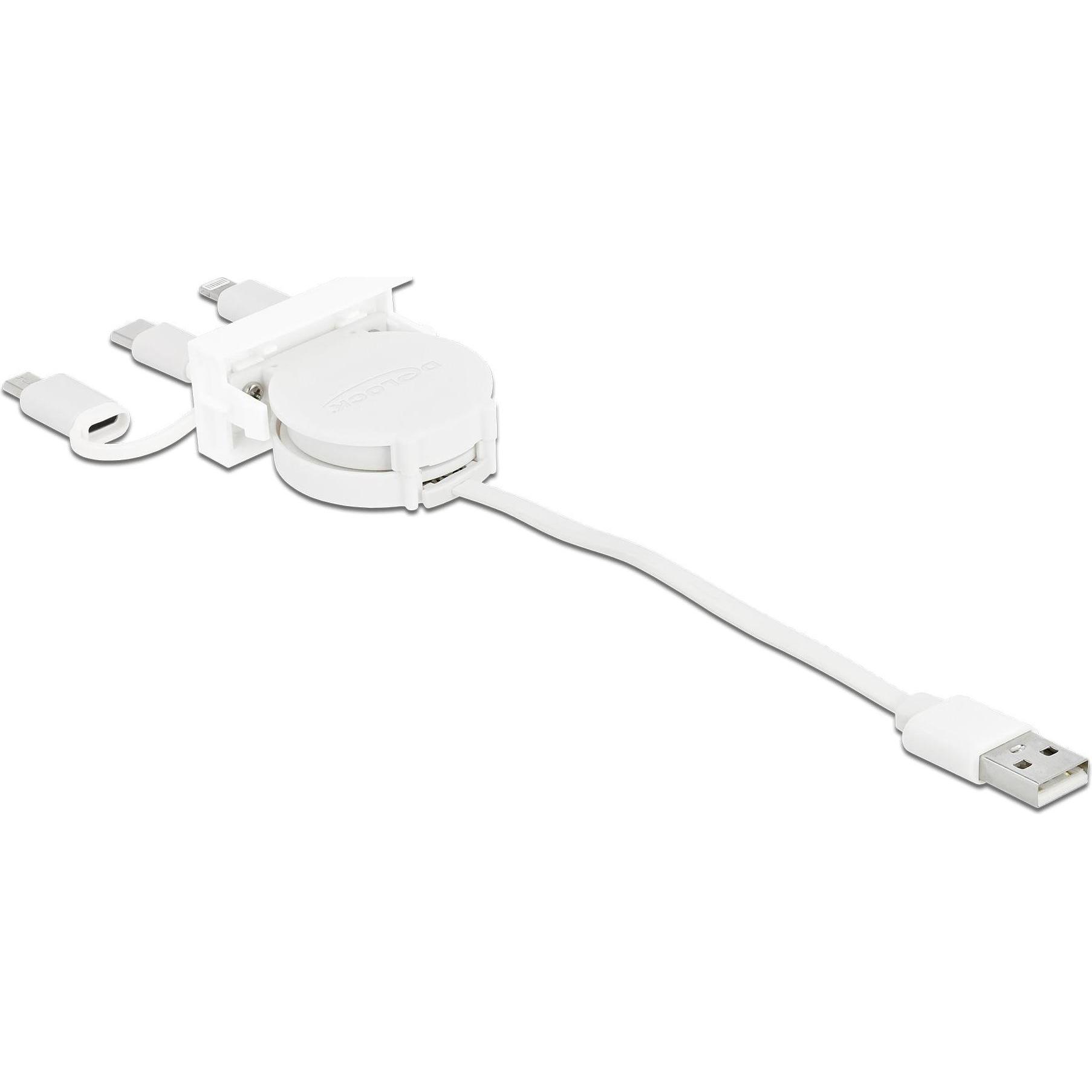 Delock 3in1 (0.50 m, USB 2.0), USB Kabel