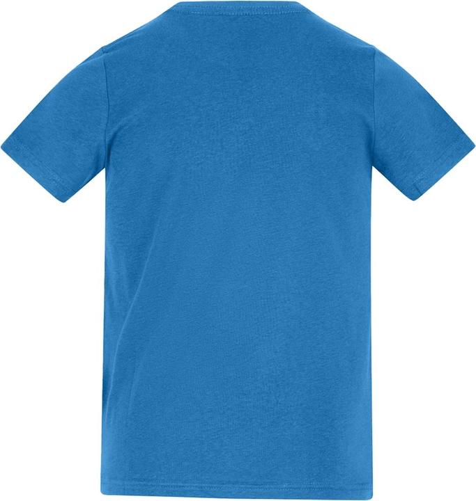 Actual product image Awdis Childrens/Kids T-Shirt (128)
