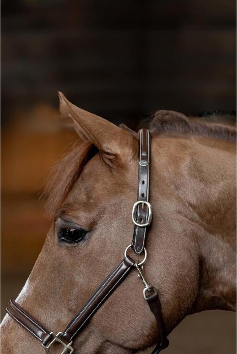 Immagine prodotto HFI Master Little Groom