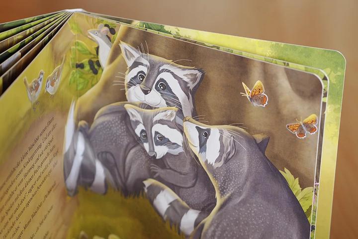Produktbild Der kleine Waschbär traut sich was – ein Bilderbuch für Kinder ab 2 Jahren (Deutsch, Lea Kässmann, 2021)
