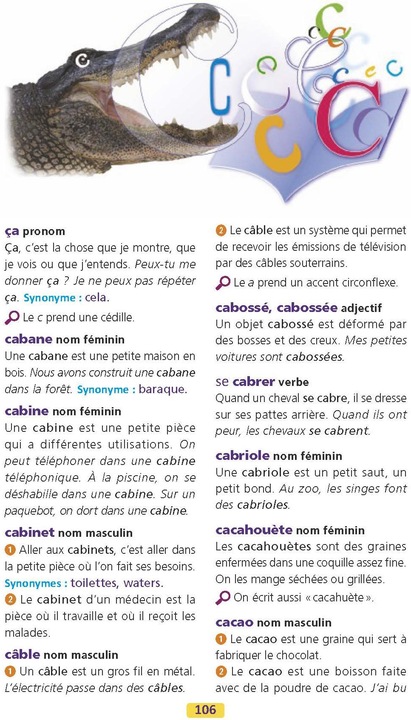 Immagine prodotto Il dizionario Larousse dei bambini, 6-8 anni, CP-CE (Francese, Collettività, 2024)
