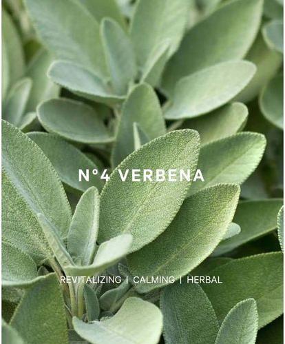 Actual product image Esmée Premium Scents - Diffuser (200 ml)