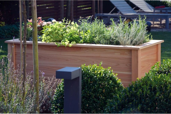 Actual product image Dobar Douglas fir