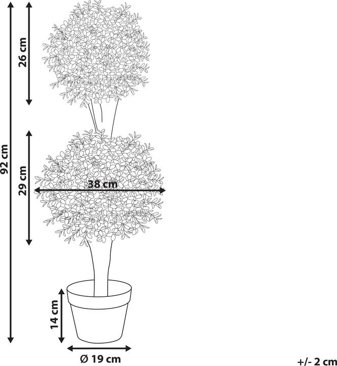 Immagine prodotto Beliani Buxus Ball Tree (92 cm)