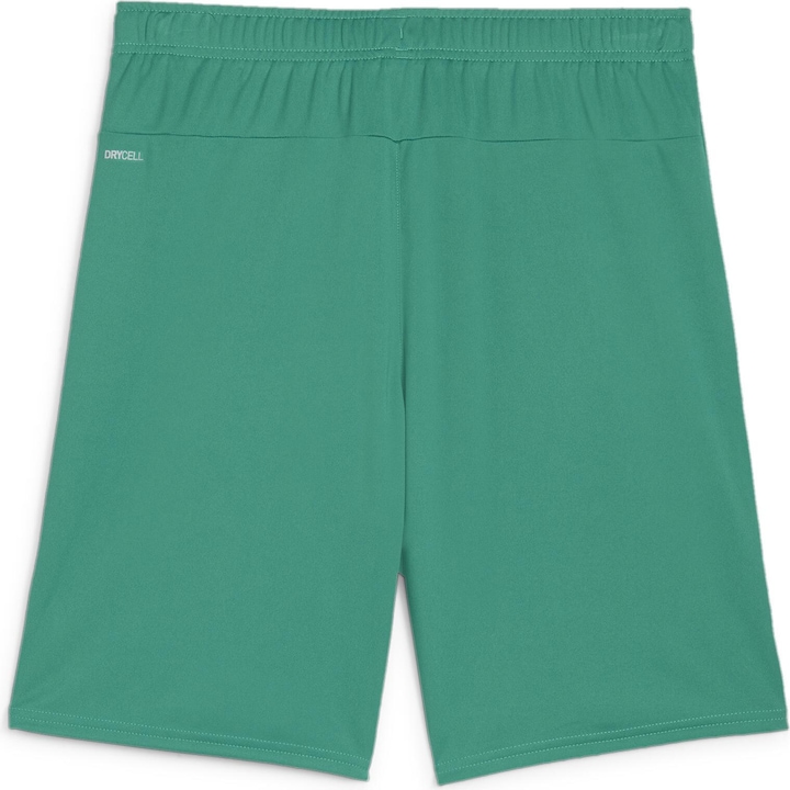 Actual product image Puma teamGOAL shorts (M)