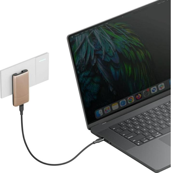 Actual product image Energea Wall charger TravelWorld Edge 65W 2xUSB-C PD/PPS/QC3.0 (US/UK/EU) gold (65 W, 2 ports)