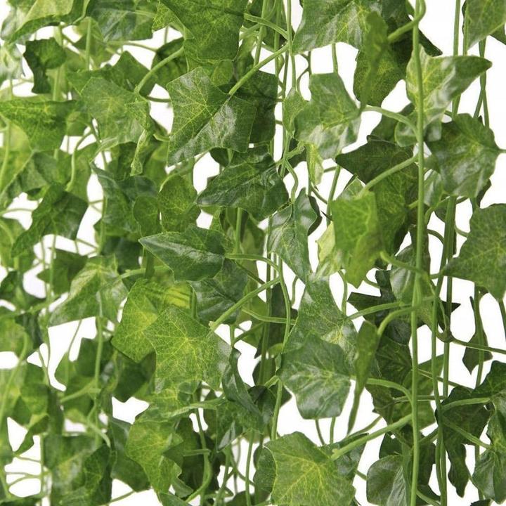 Productafbeelding Gardlov Klimop slinger