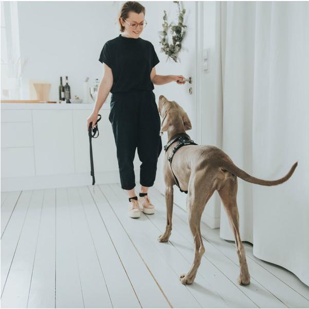 Produktbild Hunter Geschirr Aalborg (XS, Hund, Allgemein)