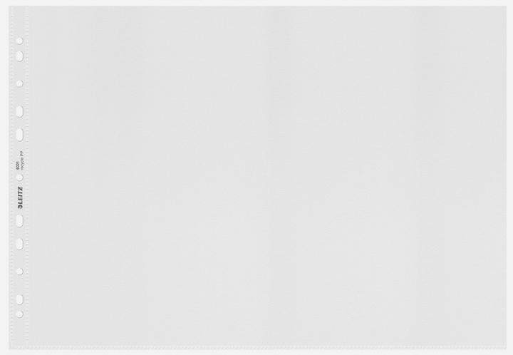 Immagine prodotto Leitz Riciclare la cartella del display (A3, 25 x)