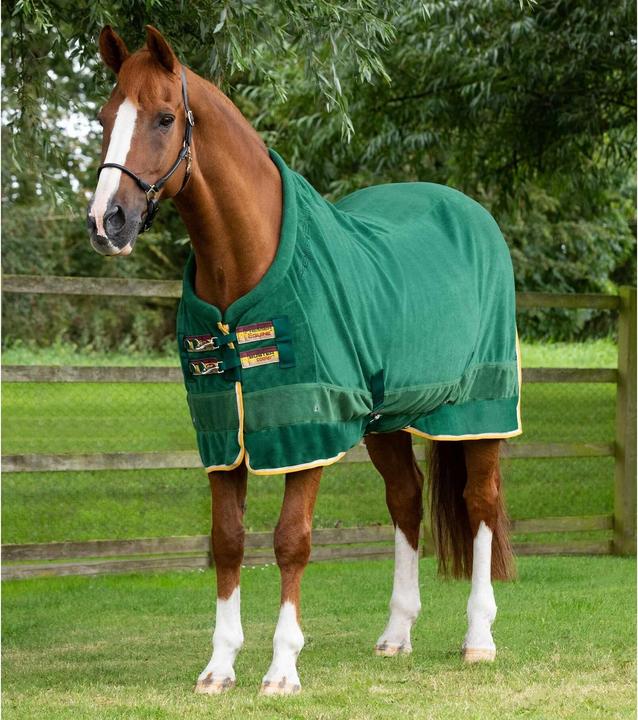 Image du produit Premier Equine Buster Continental 280g