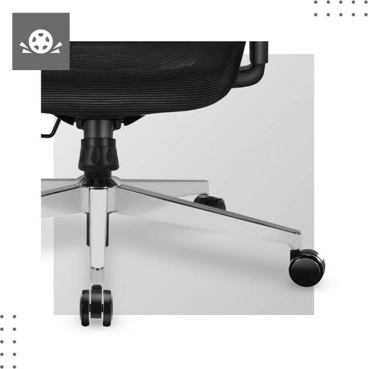 Immagine prodotto Mark Adler Esperto di MA (47 - 57 cm)