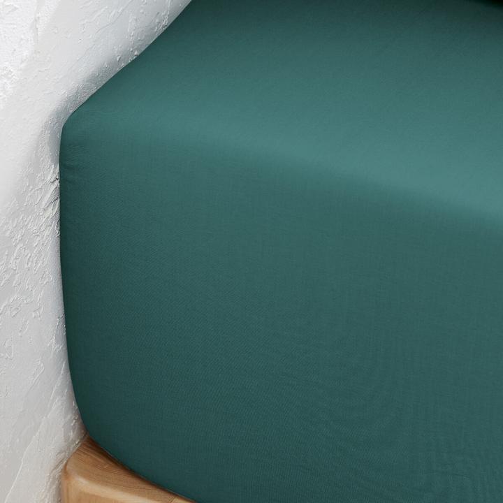 Actual product image La Redoute Interieurs Percale Bio (140 x 190 cm)