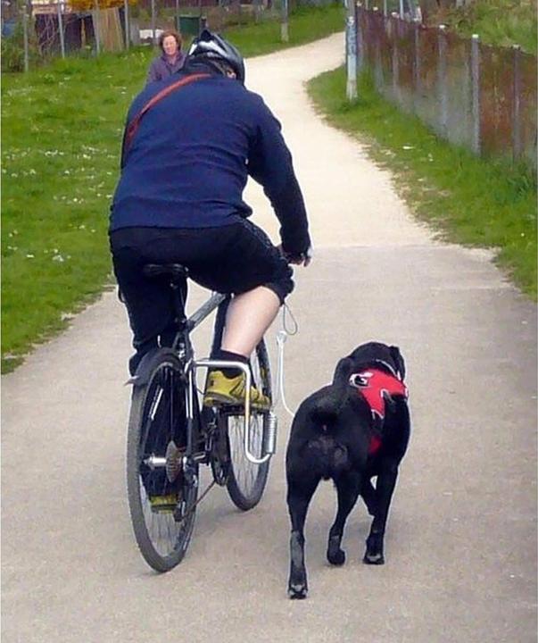 Produktbild Dogrunner Fahrradhalter