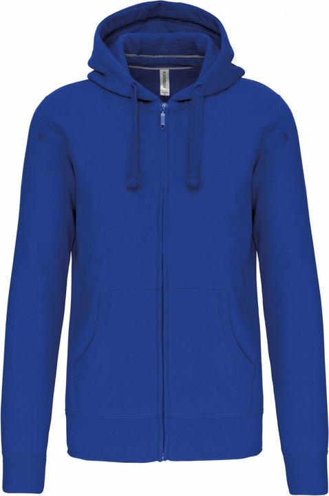 Light royal blue