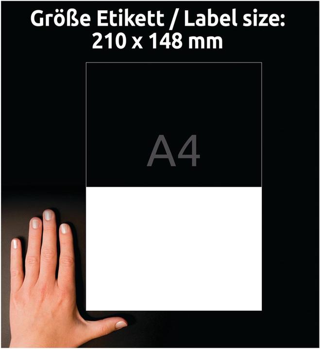 Productafbeelding Avery Universeel