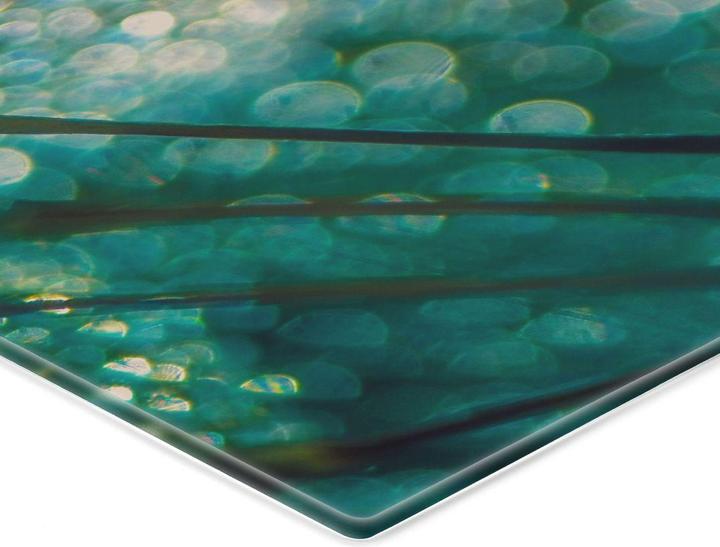 Actual product image Trenddeko Sparkling dandelion (60 x 40 cm)