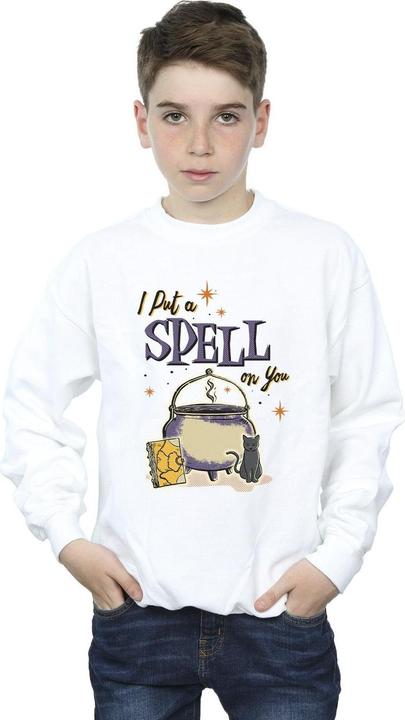 Produktbild Disney Hocus Pocus Spell On You Sweatshirt Jungen (128)