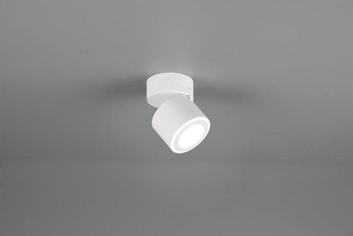 Actual product image Trio Taurus (450 lm)