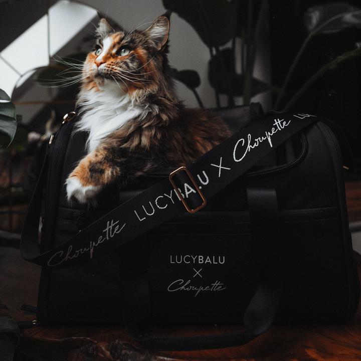 Produktbild LucyBalu CHECK-IN Katzentransporttasche | Choupette Edition (Katze, Waschbar)