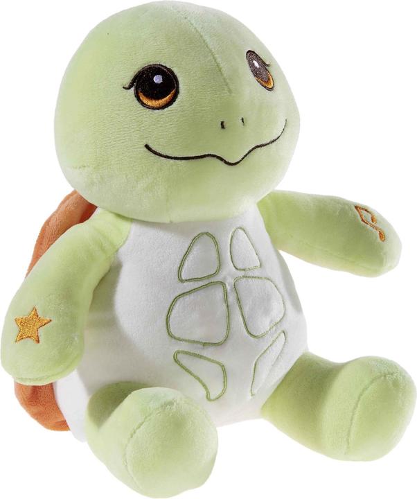 Heunec MUSILEDI tortoise