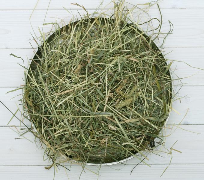 Actual product image Bunny Hay from nature conservation meadows (1.70 kg, 1 x)