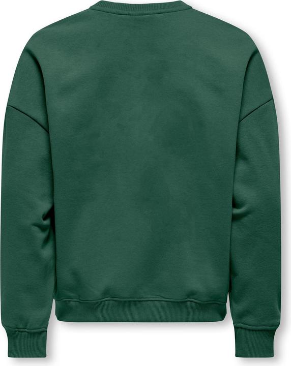 Produktbild Only KOGBILA Sweatshirt Sweatshirt (146, 152)