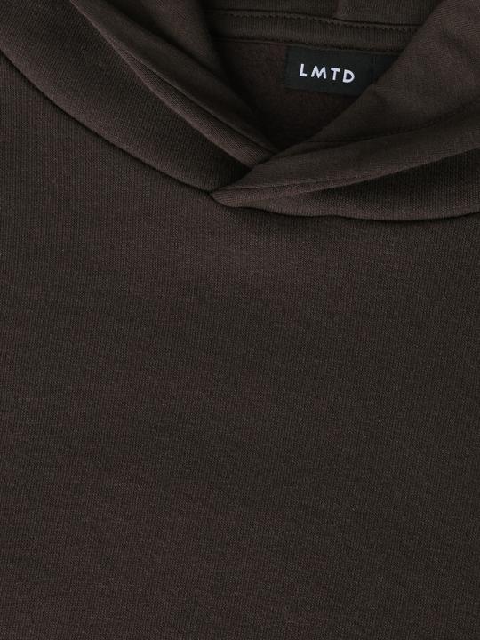 Produktbild Lmtd Regular Fit Hoodie (146, 152)
