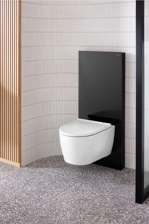 Actual product image Geberit Monolith PLUS sanitary module for wall-mounted toilet, 114cm, water connection center back
