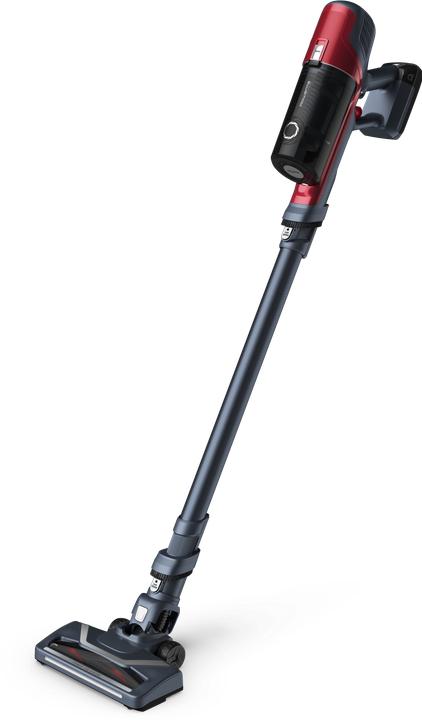 Actual product image Rowenta X-Pert 6.60 Animal