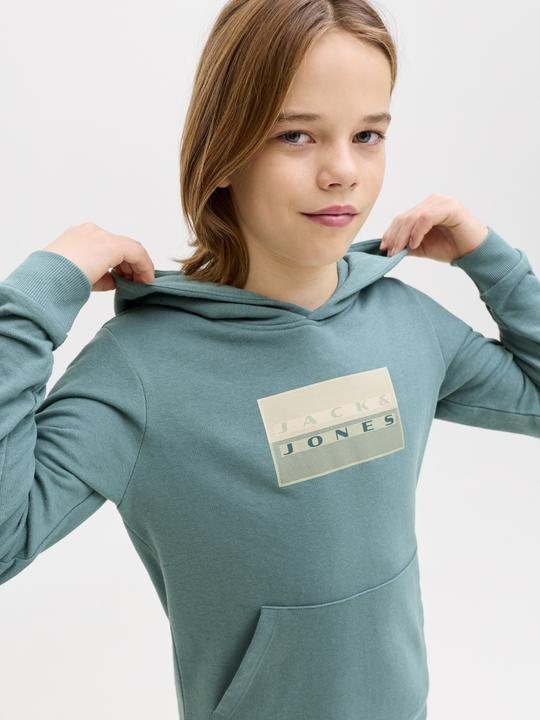 Produktbild Jack & Jones Jcofusion Graphic Sweat Hood Sn Jnr (152)